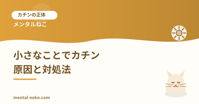 小さなことでカチンとくる原因と対処法